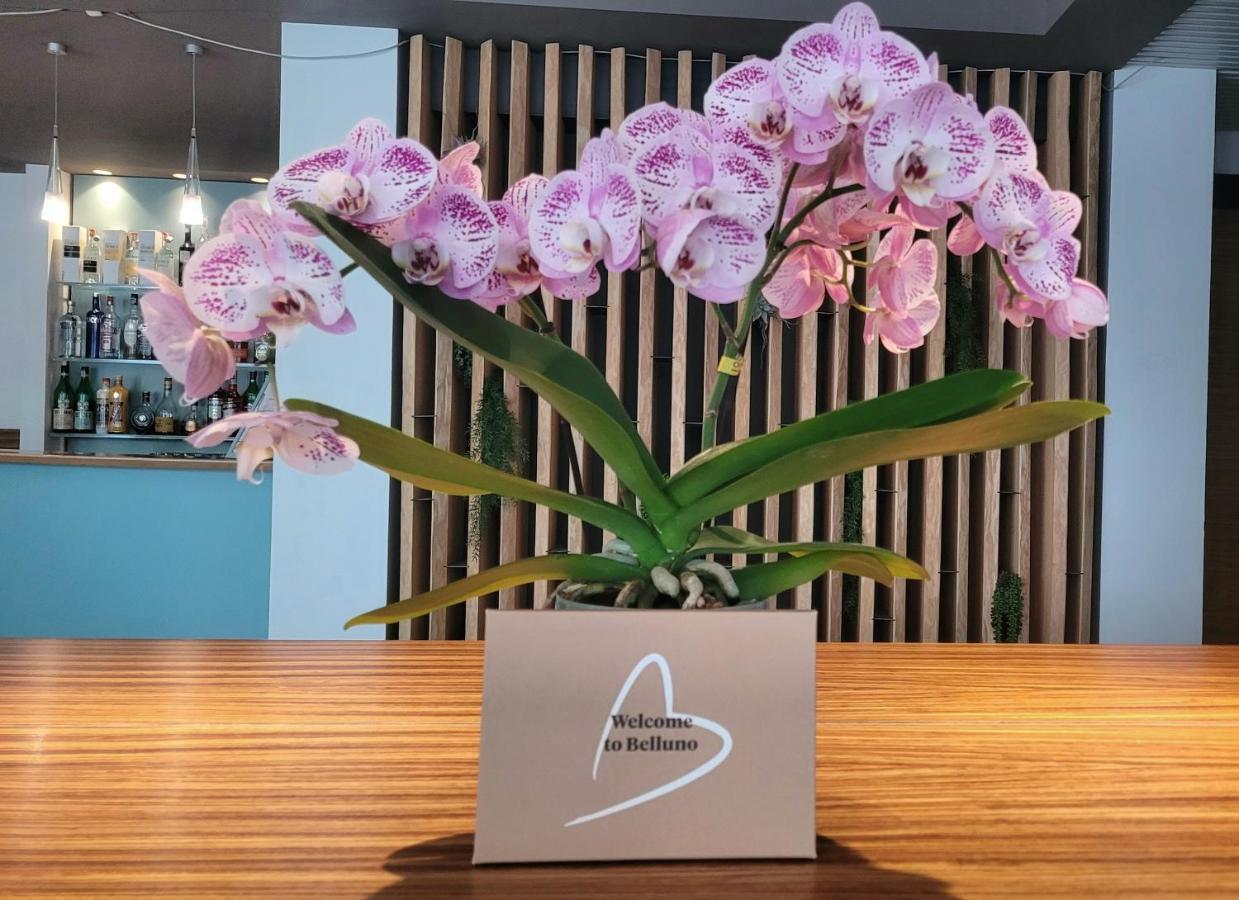 Hotel Europa เบลลูโน ภายนอก รูปภาพ